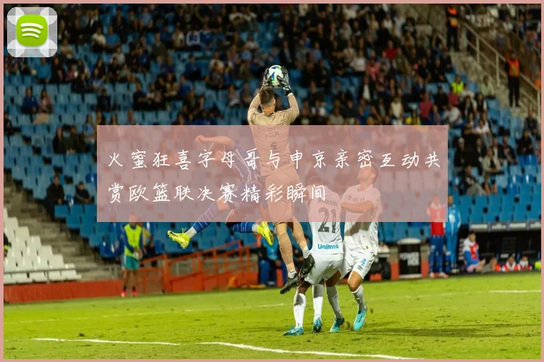 火蜜狂喜字母哥与申京亲密互动共赏欧篮联决赛精彩瞬间